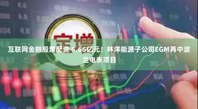 互联网金融股票配资 6.66亿元！林洋能源子公司EGM再中波兰电表项目
