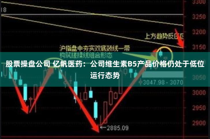 股票操盘公司 亿帆医药：公司维生素B5产品价格仍处于低位运行态势