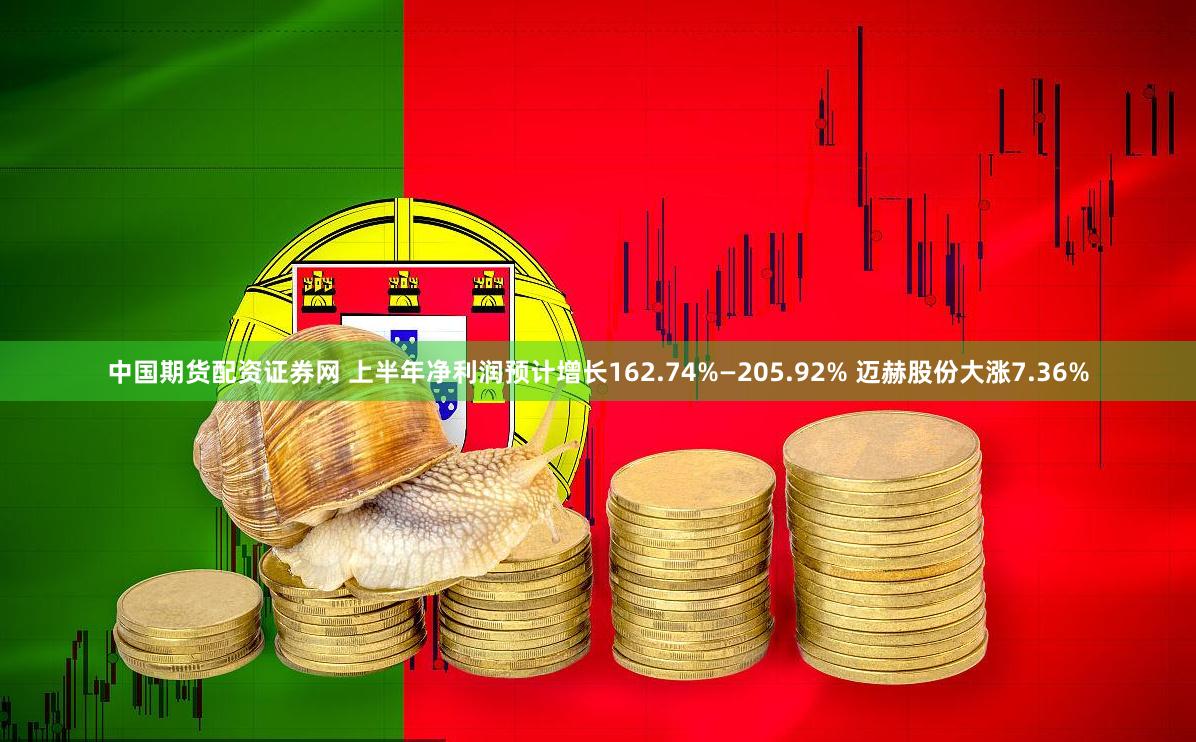中国期货配资证券网 上半年净利润预计增长162.74%—205.92% 迈赫股份大涨7.36%