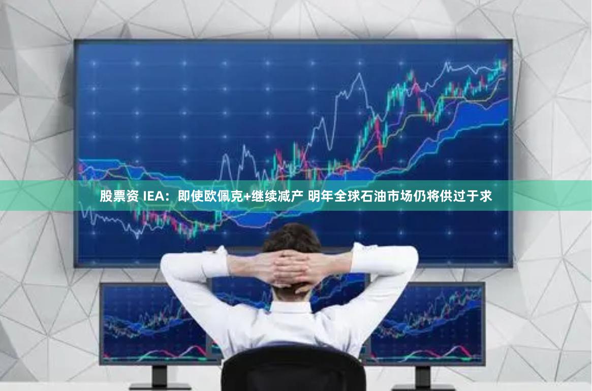 股票资 IEA：即使欧佩克+继续减产 明年全球石油市场仍将供过于求