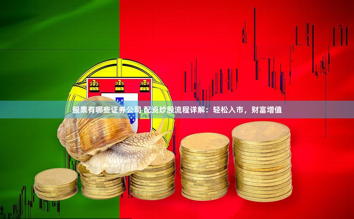 股票有哪些证券公司 配资炒股流程详解：轻松入市，财富增值