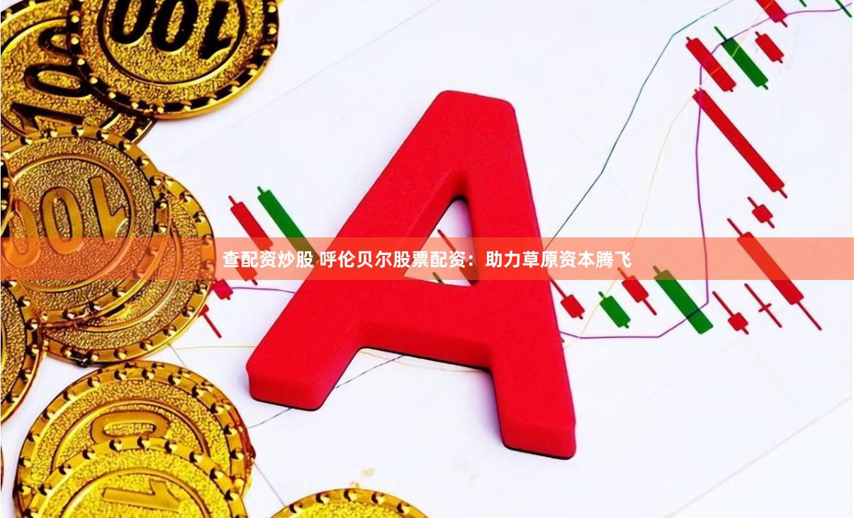 查配资炒股 呼伦贝尔股票配资：助力草原资本腾飞